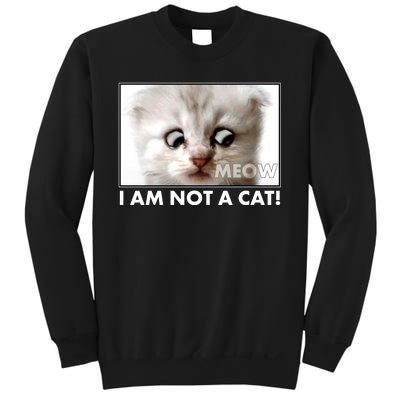 Funny I'm Not A Cat Zoom Lawyer Cat Meme Sweatshirt