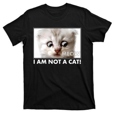 Funny I'm Not A Cat Zoom Lawyer Cat Meme T-Shirt