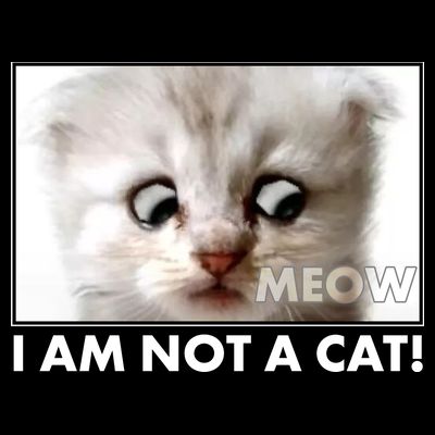Funny I'm Not A Cat Zoom Lawyer Cat Meme T-Shirt
