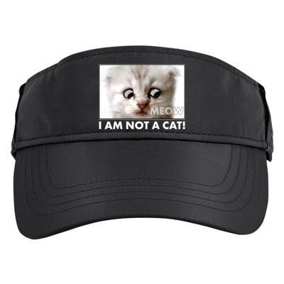 Funny I'm Not A Cat Zoom Lawyer Cat Meme Adult Drive Performance Visor
