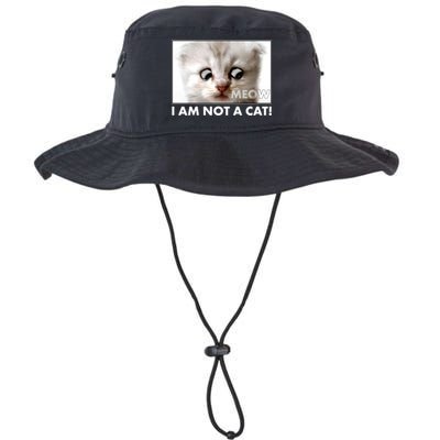 Funny I'm Not A Cat Zoom Lawyer Cat Meme Bucket Hat