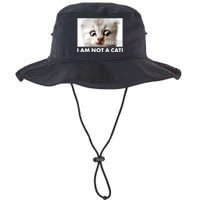 Funny I'm Not A Cat Zoom Lawyer Cat Meme Bucket Hat