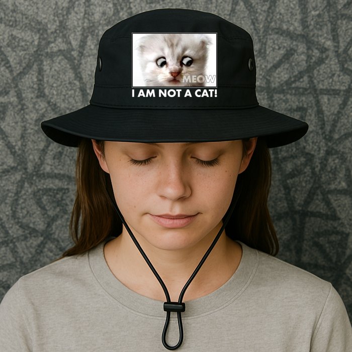 Funny I'm Not A Cat Zoom Lawyer Cat Meme Bucket Hat