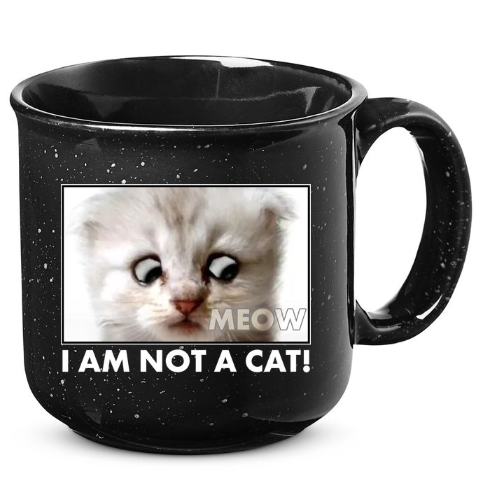 Funny I'm Not A Cat Zoom Lawyer Cat Meme 15oz Campfire Ceramic Mug