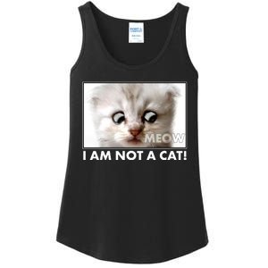 Funny I'm Not A Cat Zoom Lawyer Cat Meme Ladies Essential Tank