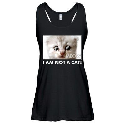 Funny I'm Not A Cat Zoom Lawyer Cat Meme Ladies Essential Flowy Tank
