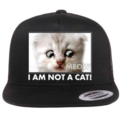 Funny I'm Not A Cat Zoom Lawyer Cat Meme Flatbill Hat