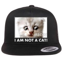 Funny I'm Not A Cat Zoom Lawyer Cat Meme Flat Bill Trucker Hat