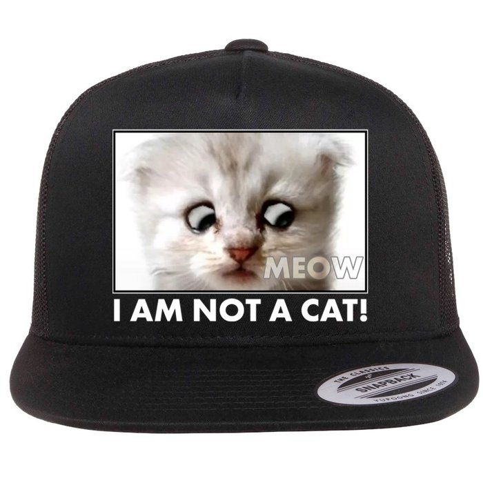 Funny I'm Not A Cat Zoom Lawyer Cat Meme Flat Bill Trucker Hat