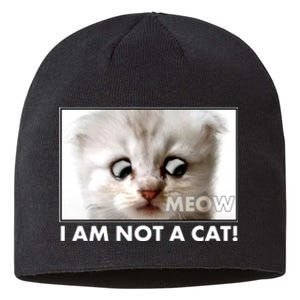 Funny I'm Not A Cat Zoom Lawyer Cat Meme Sustainable Beanie