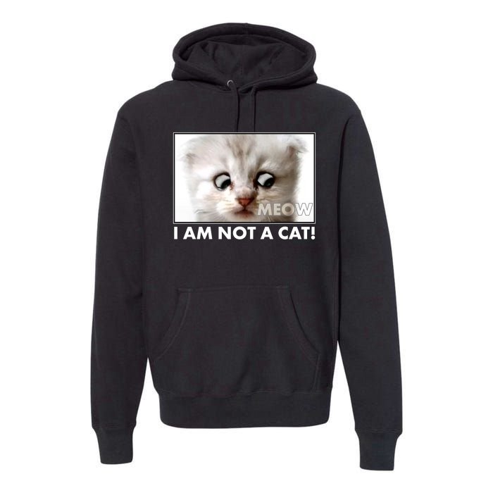 Funny I'm Not A Cat Zoom Lawyer Cat Meme Premium Hoodie