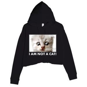 Funny I'm Not A Cat Zoom Lawyer Cat Meme Crop Fleece Hoodie