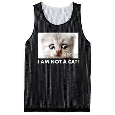 Funny I'm Not A Cat Zoom Lawyer Cat Meme Mesh Reversible Basketball Jersey Tank