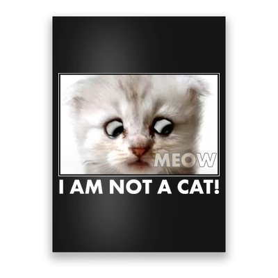 Funny I'm Not A Cat Zoom Lawyer Cat Meme Poster