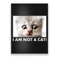 Funny I'm Not A Cat Zoom Lawyer Cat Meme Poster