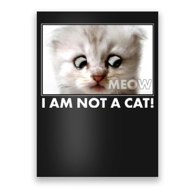 Funny I'm Not A Cat Zoom Lawyer Cat Meme Poster