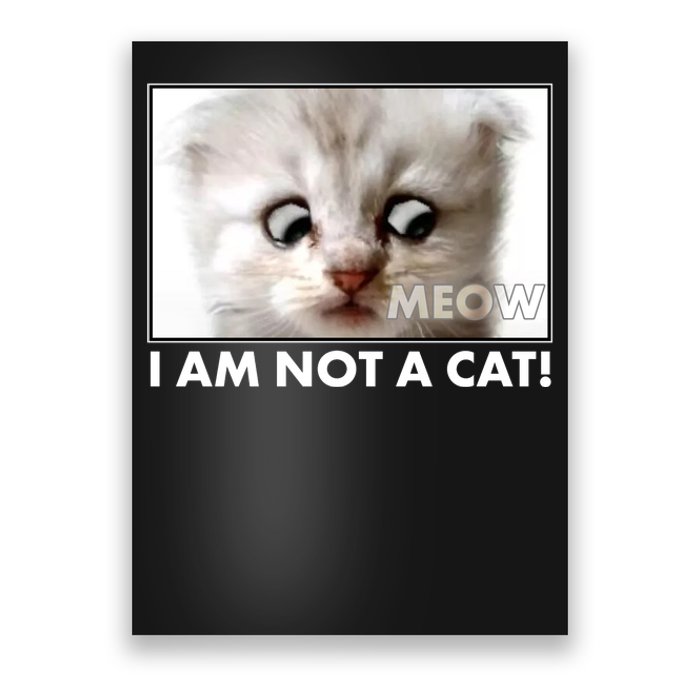 Funny I'm Not A Cat Zoom Lawyer Cat Meme Poster