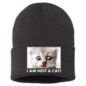 Funny I'm Not A Cat Zoom Lawyer Cat Meme Sustainable Knit Beanie