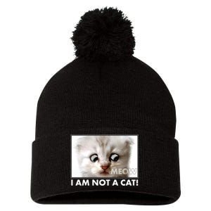 Funny I'm Not A Cat Zoom Lawyer Cat Meme Pom Pom 12in Knit Beanie