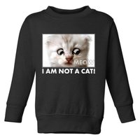 Funny I'm Not A Cat Zoom Lawyer Cat Meme Toddler Sweatshirt