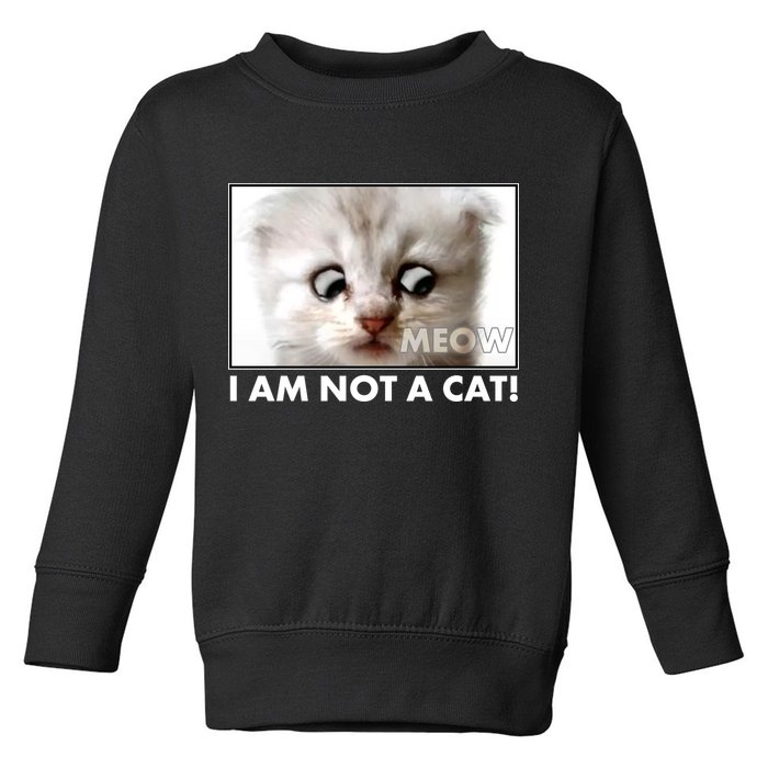 Funny I'm Not A Cat Zoom Lawyer Cat Meme Toddler Sweatshirt