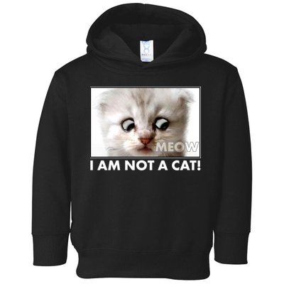 Funny I'm Not A Cat Zoom Lawyer Cat Meme Toddler Hoodie