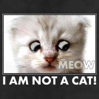 Funny I'm Not A Cat Zoom Lawyer Cat Meme Golf Towel