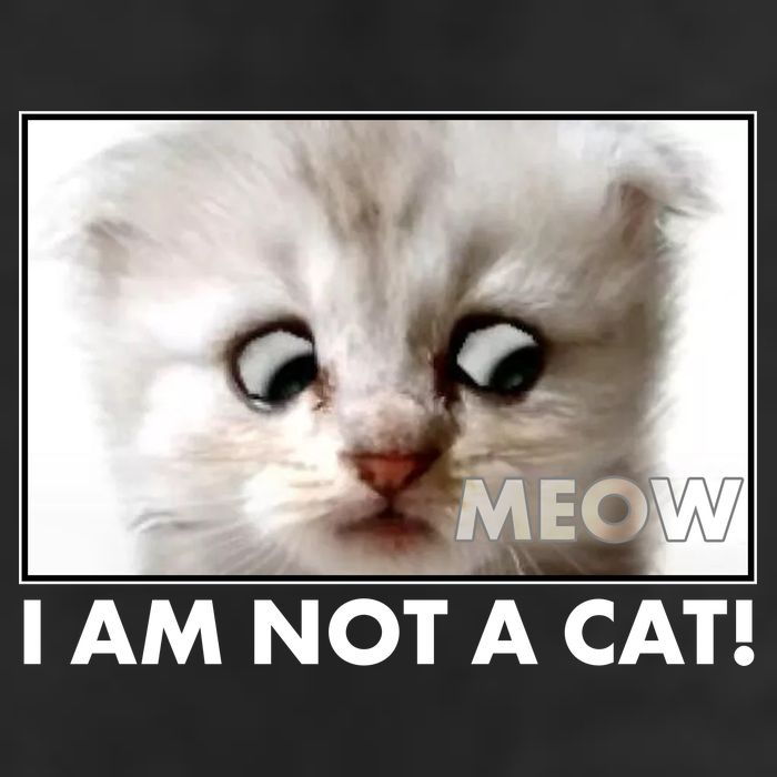 Funny I'm Not A Cat Zoom Lawyer Cat Meme Golf Towel