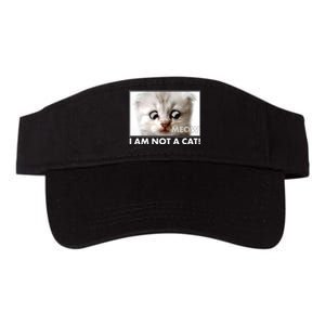 Funny I'm Not A Cat Zoom Lawyer Cat Meme Valucap Bio-Washed Visor