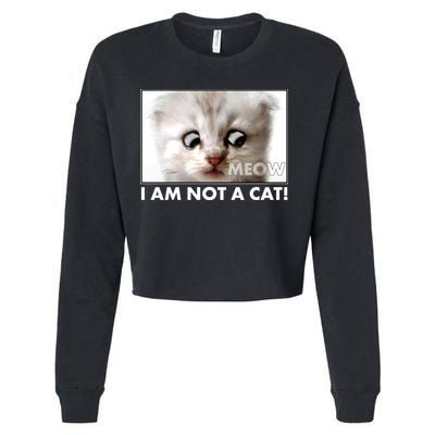 Funny I'm Not A Cat Zoom Lawyer Cat Meme Cropped Pullover Crew