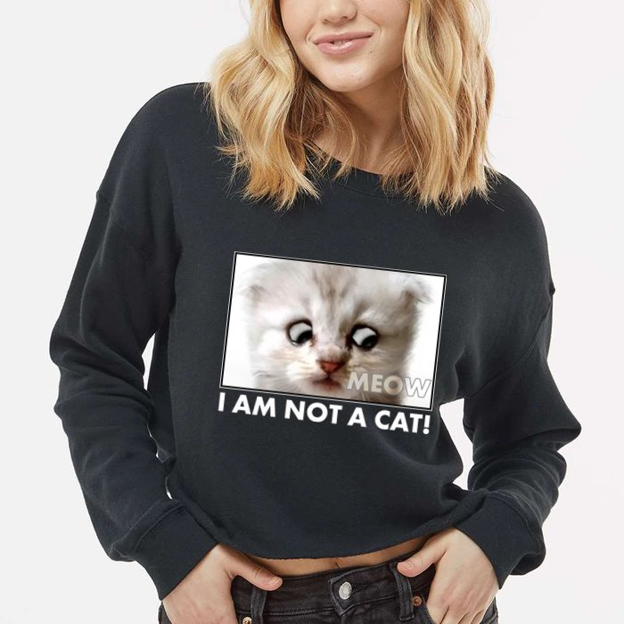 Funny I'm Not A Cat Zoom Lawyer Cat Meme Cropped Pullover Crew
