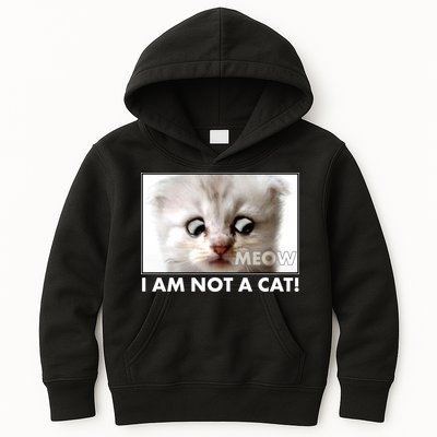 Funny I'm Not A Cat Zoom Lawyer Cat Meme Kids Hoodie