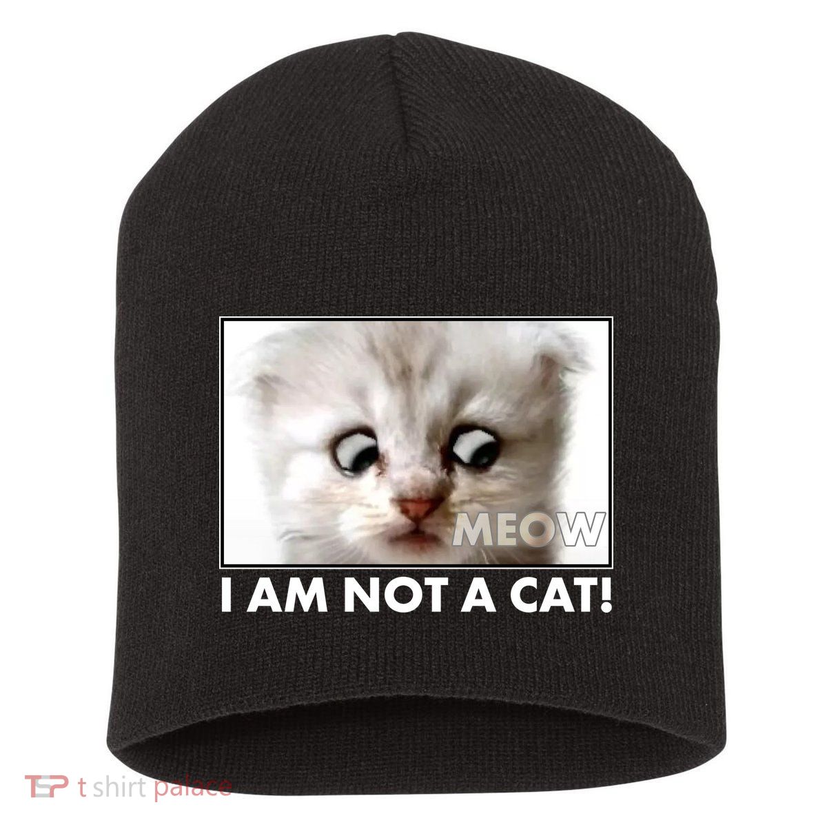 Funny I'm Not A Cat Zoom Lawyer Cat Meme Short Acrylic Beanie