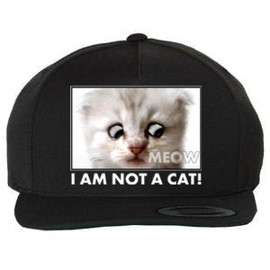 Funny I'm Not A Cat Zoom Lawyer Cat Meme Wool Snapback Cap