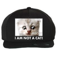 Funny I'm Not A Cat Zoom Lawyer Cat Meme Wool Snapback Cap