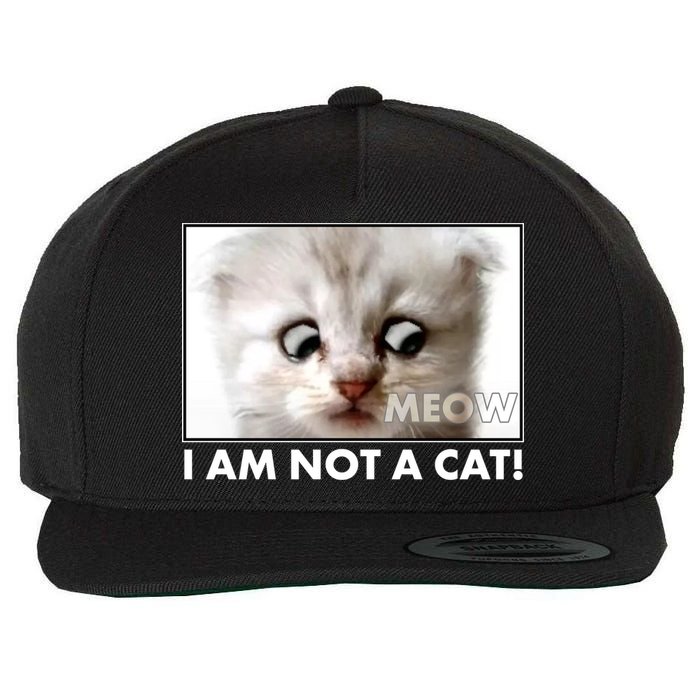 Funny I'm Not A Cat Zoom Lawyer Cat Meme Wool Snapback Cap