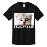 Funny I'm Not A Cat Zoom Lawyer Cat Meme Kids T-Shirt