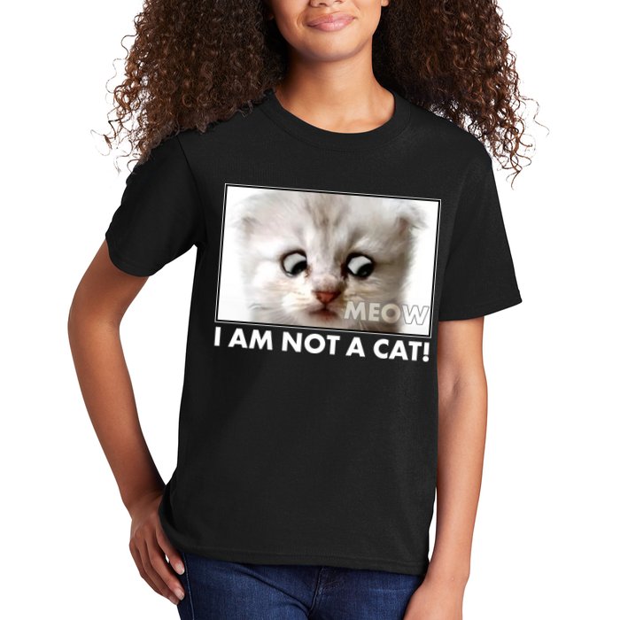 Funny I'm Not A Cat Zoom Lawyer Cat Meme Kids T-Shirt