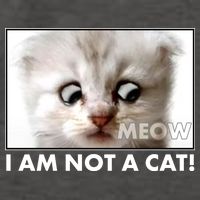 Funny I'm Not A Cat Zoom Lawyer Cat Meme Vector Backpack