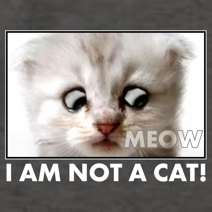 Funny I'm Not A Cat Zoom Lawyer Cat Meme Vector Backpack
