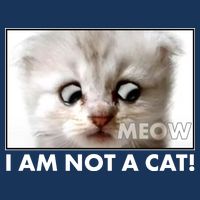 Funny I'm Not A Cat Zoom Lawyer Cat Meme Infant Baby Jersey Bodysuit