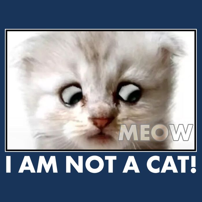 Funny I'm Not A Cat Zoom Lawyer Cat Meme Infant Baby Jersey Bodysuit