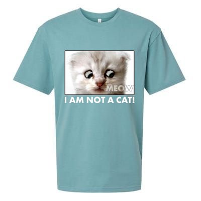 Funny I'm Not A Cat Zoom Lawyer Cat Meme Sueded Cloud Jersey T-Shirt