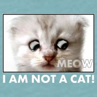 Funny I'm Not A Cat Zoom Lawyer Cat Meme Sueded Cloud Jersey T-Shirt