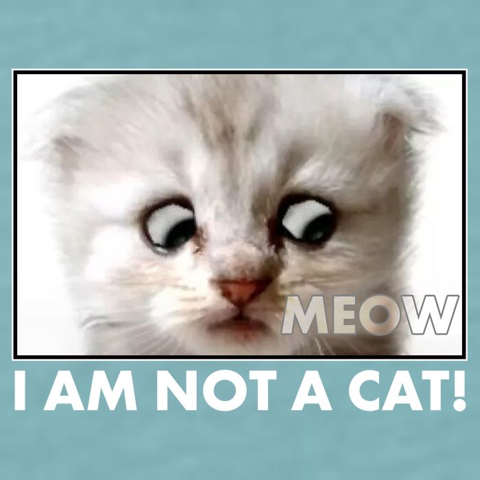 Funny I'm Not A Cat Zoom Lawyer Cat Meme Sueded Cloud Jersey T-Shirt