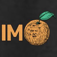 Funny Impeach Trump Peach Logo 7 Panel Mesh Trucker Snapback Hat