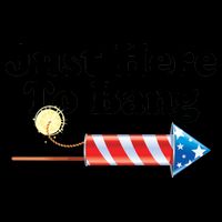 Funny July 4th Just Here To Bang Mug