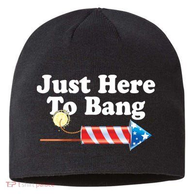 Funny July 4th Just Here To Bang Sustainable Beanie