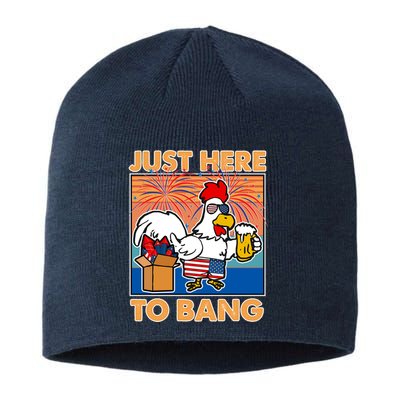 Funny Just Here To Bang Fireworks Beer Chicken Sustainable Beanie