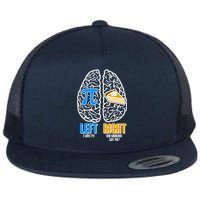 Funny Left Right Brain Pi Pie Flat Bill Trucker Hat